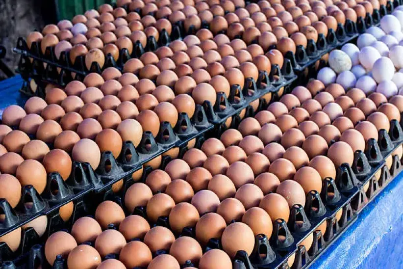 eggs2